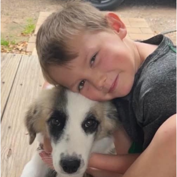 Meet your Posher, Brandi - Picture 5 of 9